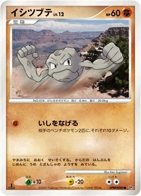 Geodude Lv.12