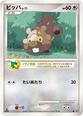 Bidoof Lv.11