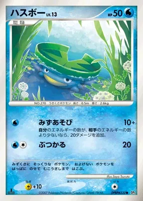 Lotad Lv.13
