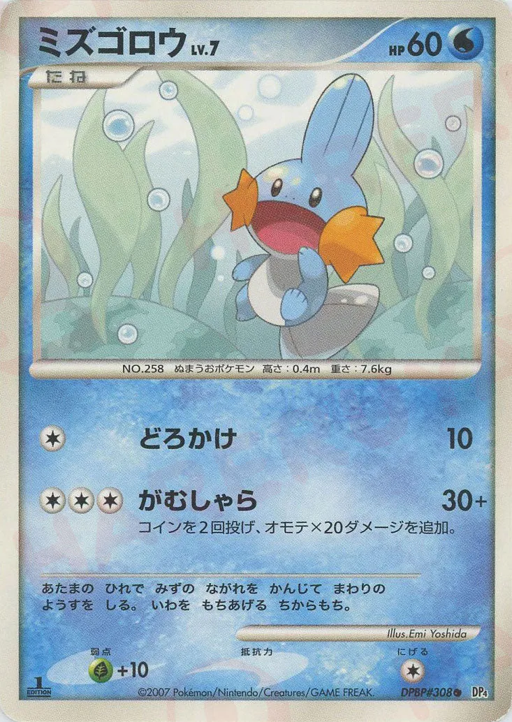 Mudkip Lv.7