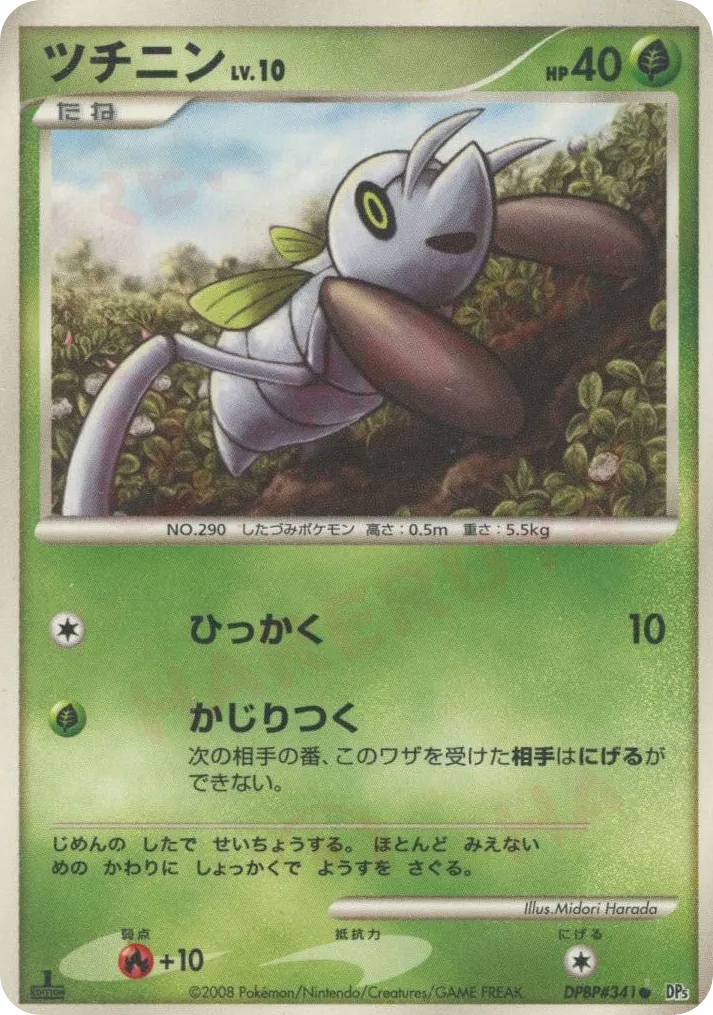 Nincada Lv.10
