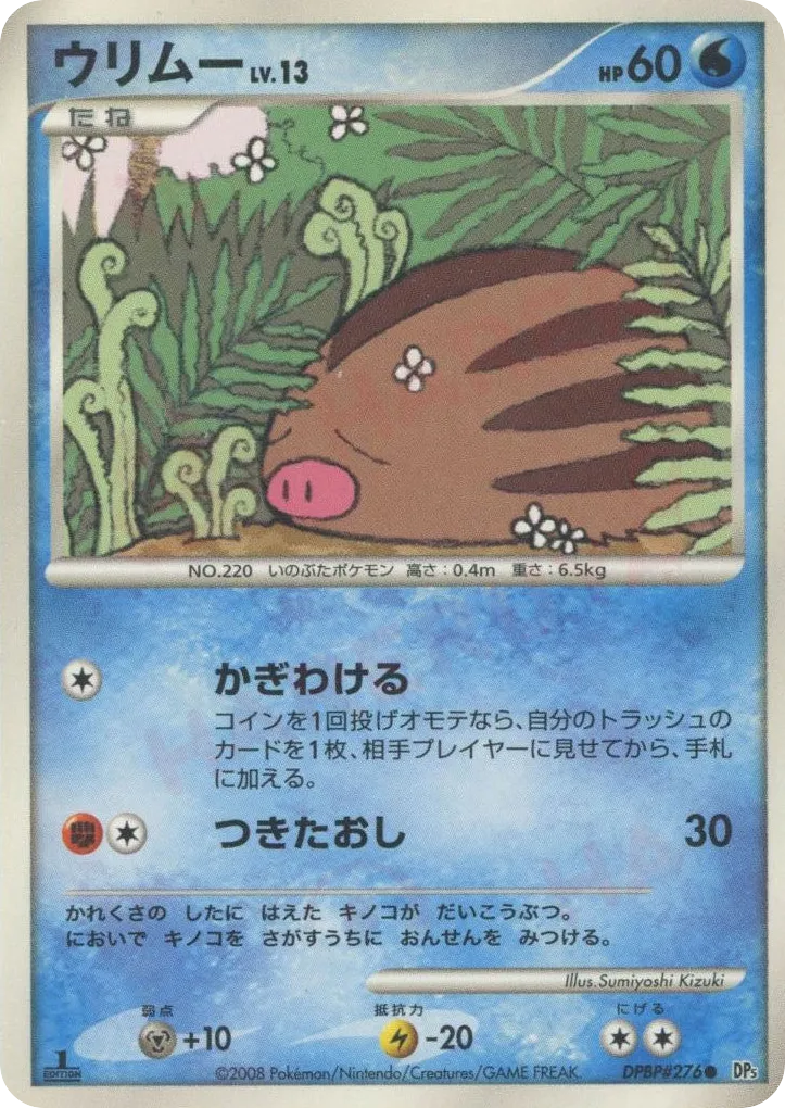 Swinub Lv.13