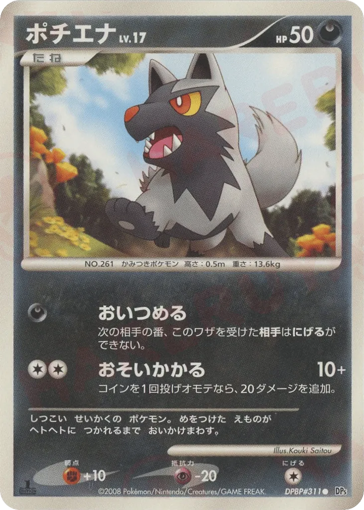 Poochyena Lv.17