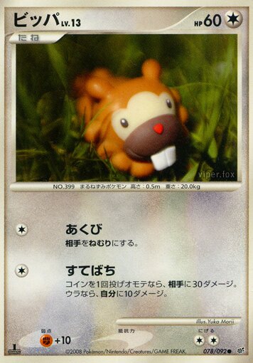 Bidoof Lv.13