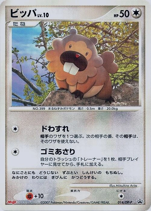 Bidoof Lv.10