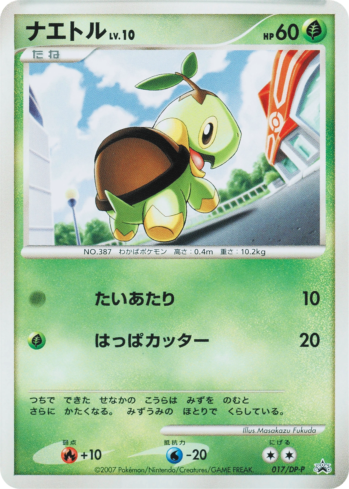 Turtwig Lv.10