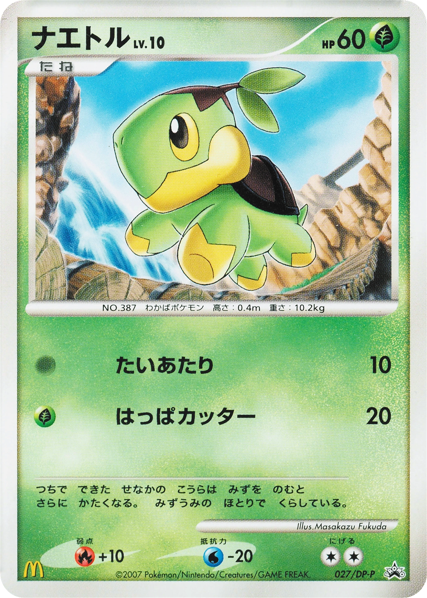 Turtwig Lv.10