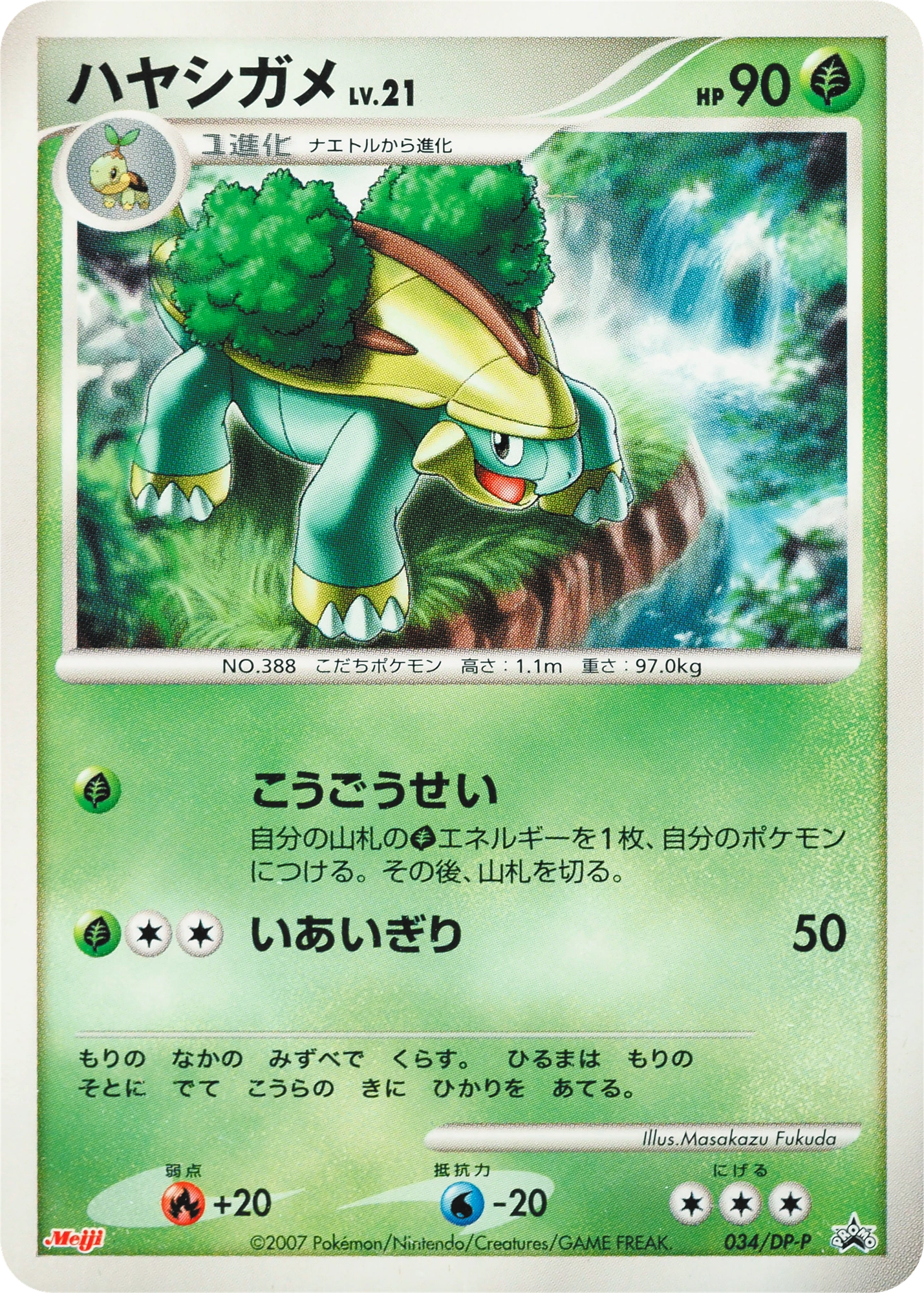 Grotle Lv.21