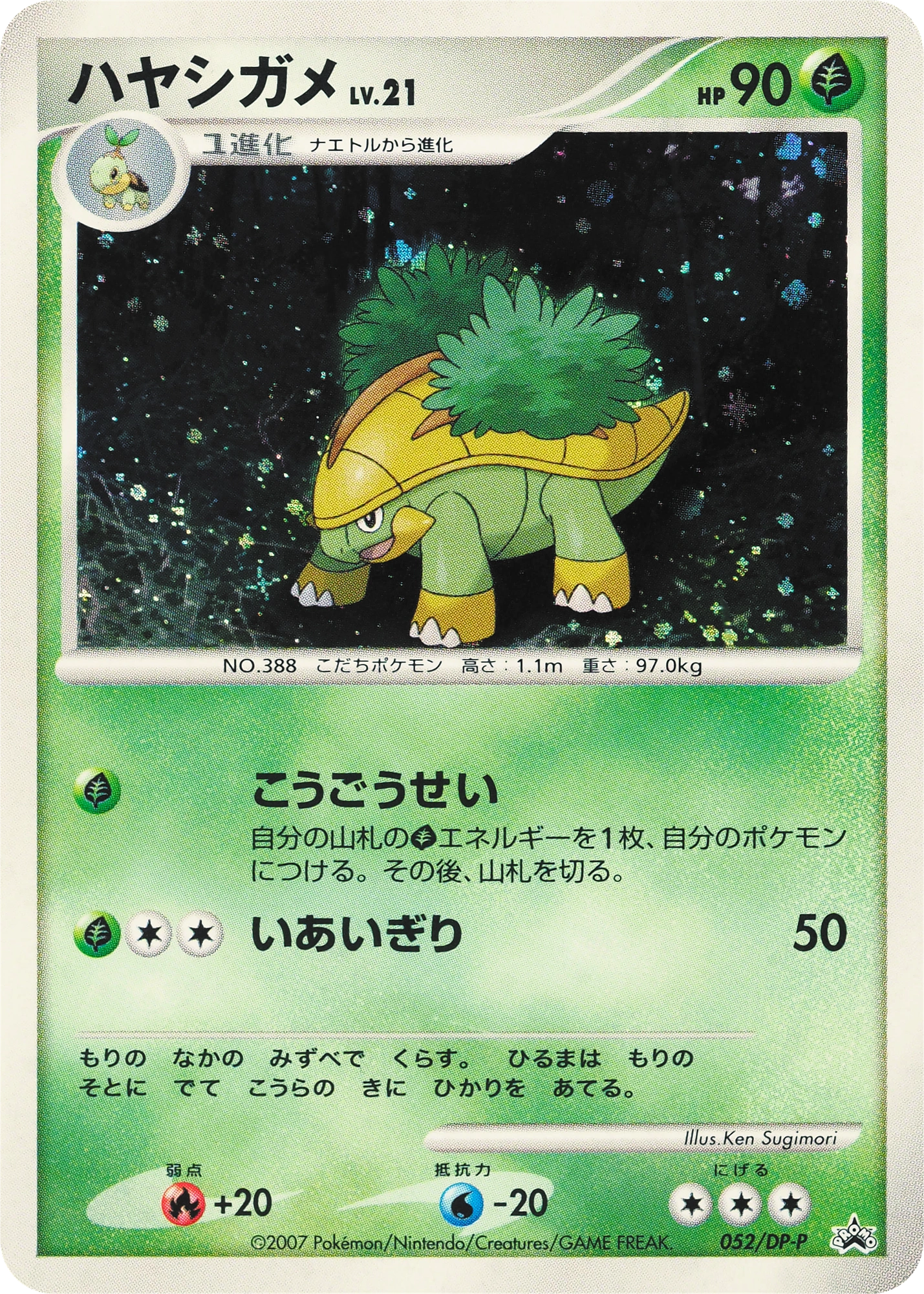 Grotle Lv.21