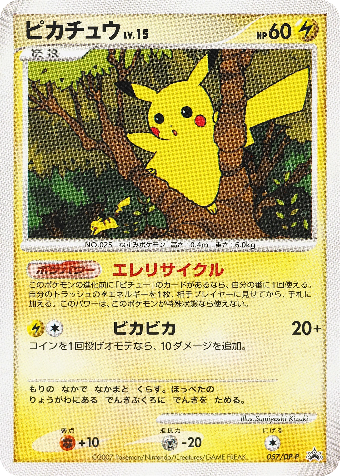 Pikachu Lv.15