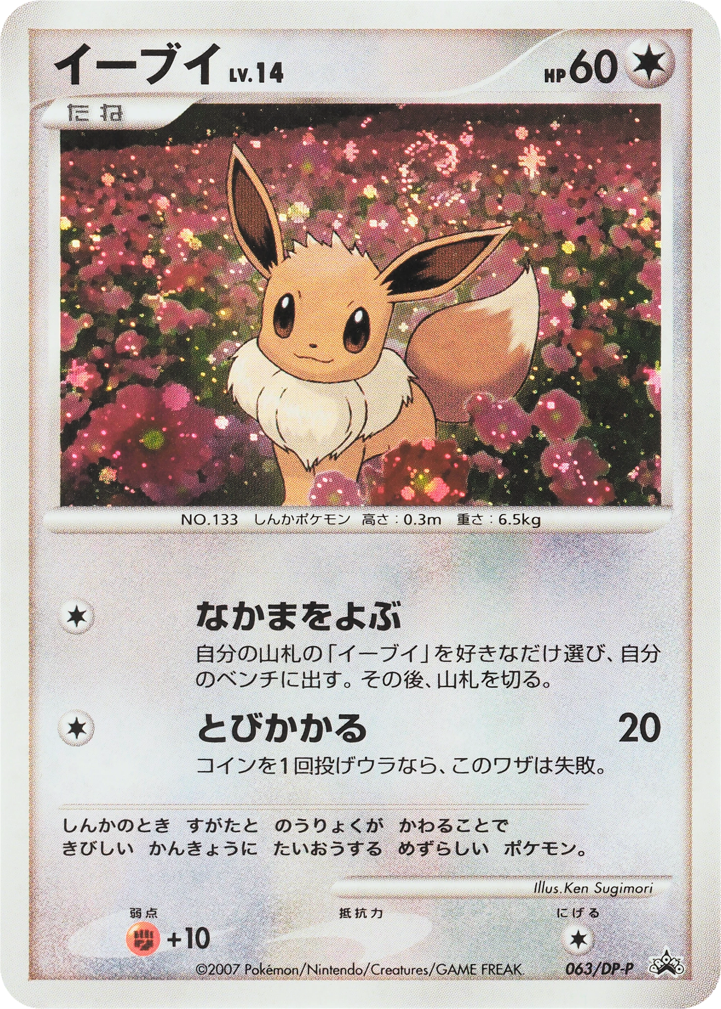 Eevee Lv.14