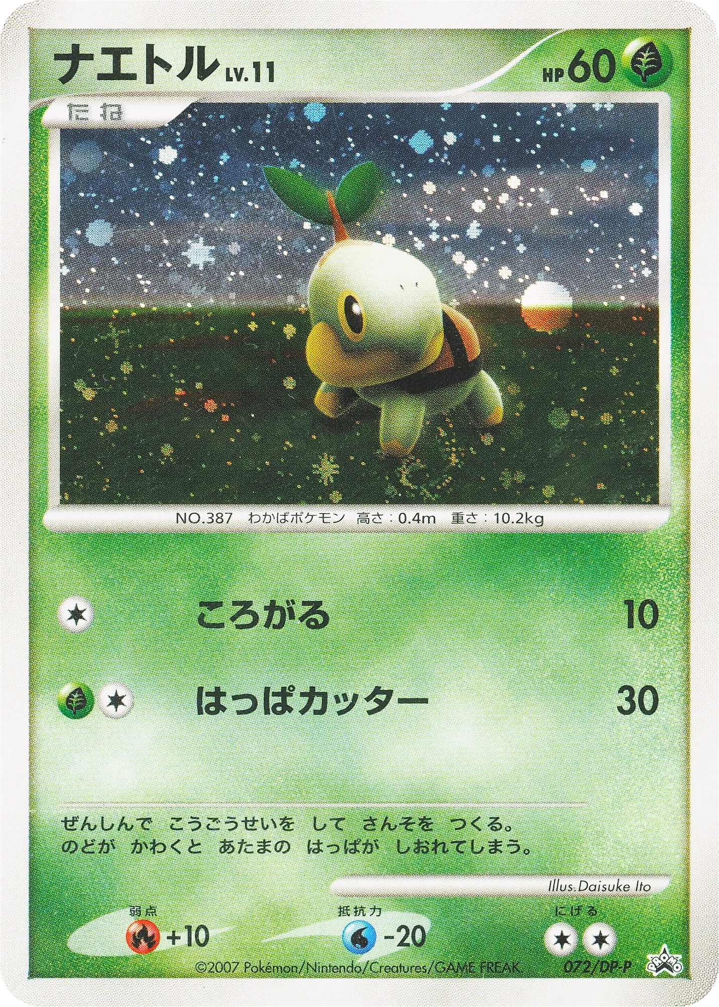 Turtwig Lv.11