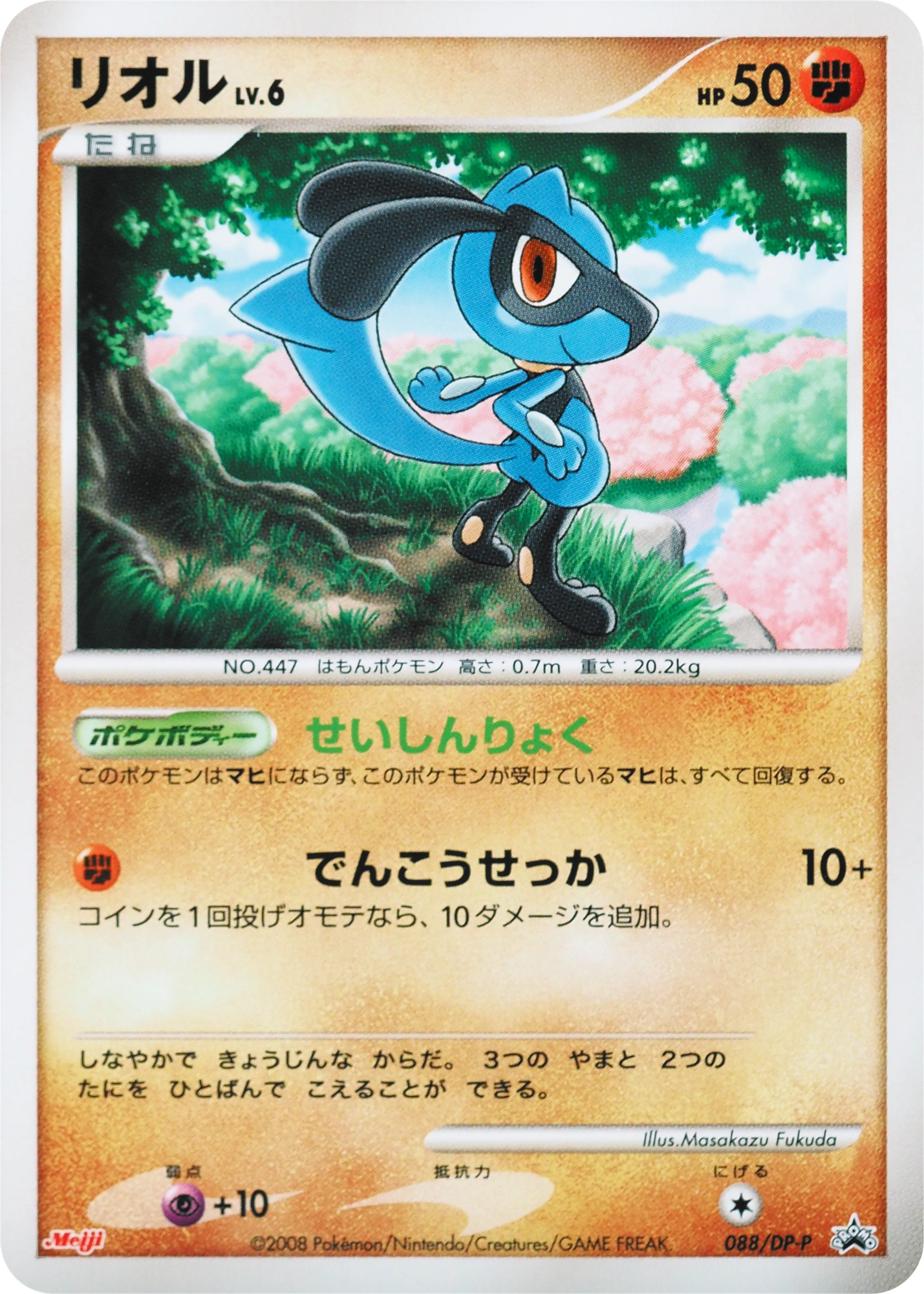 Riolu Lv.6