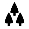 LM