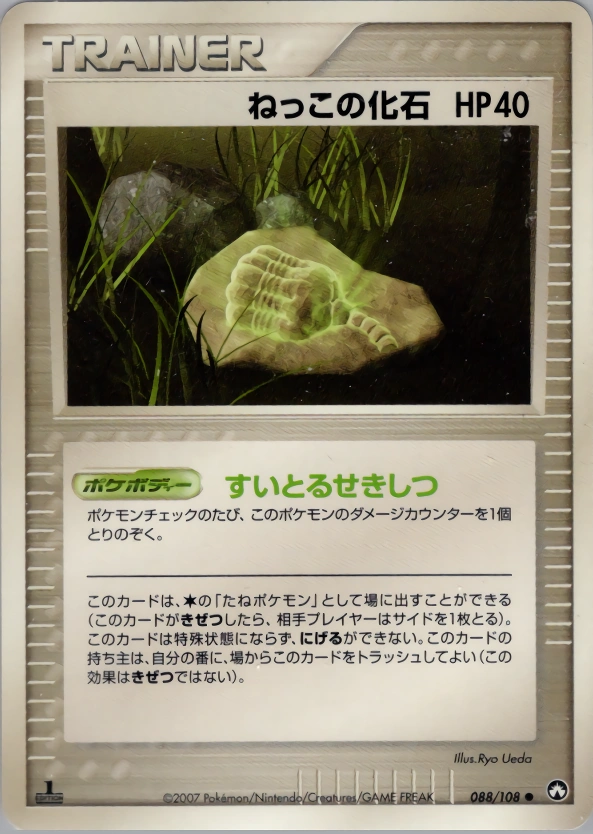Root Fossil