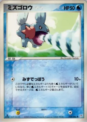 Mudkip ( 028) Magma vs Aqua: Two Ambitions