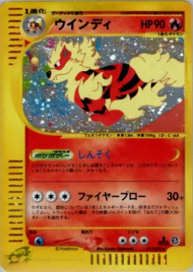 Arcanine ( 017) The Town on No Map
