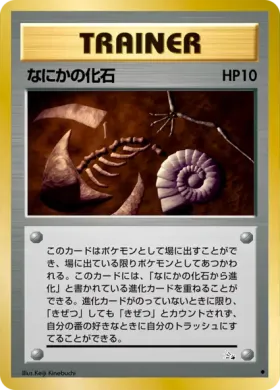 Mysterious Fossil ( 046) Mystery of the Fossils