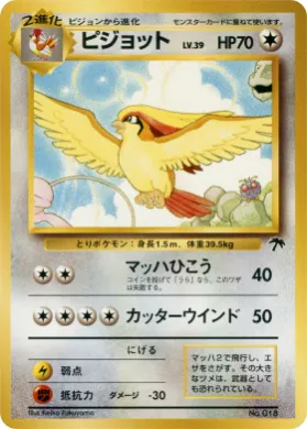 Pidgeot ( 011) Southern Islands