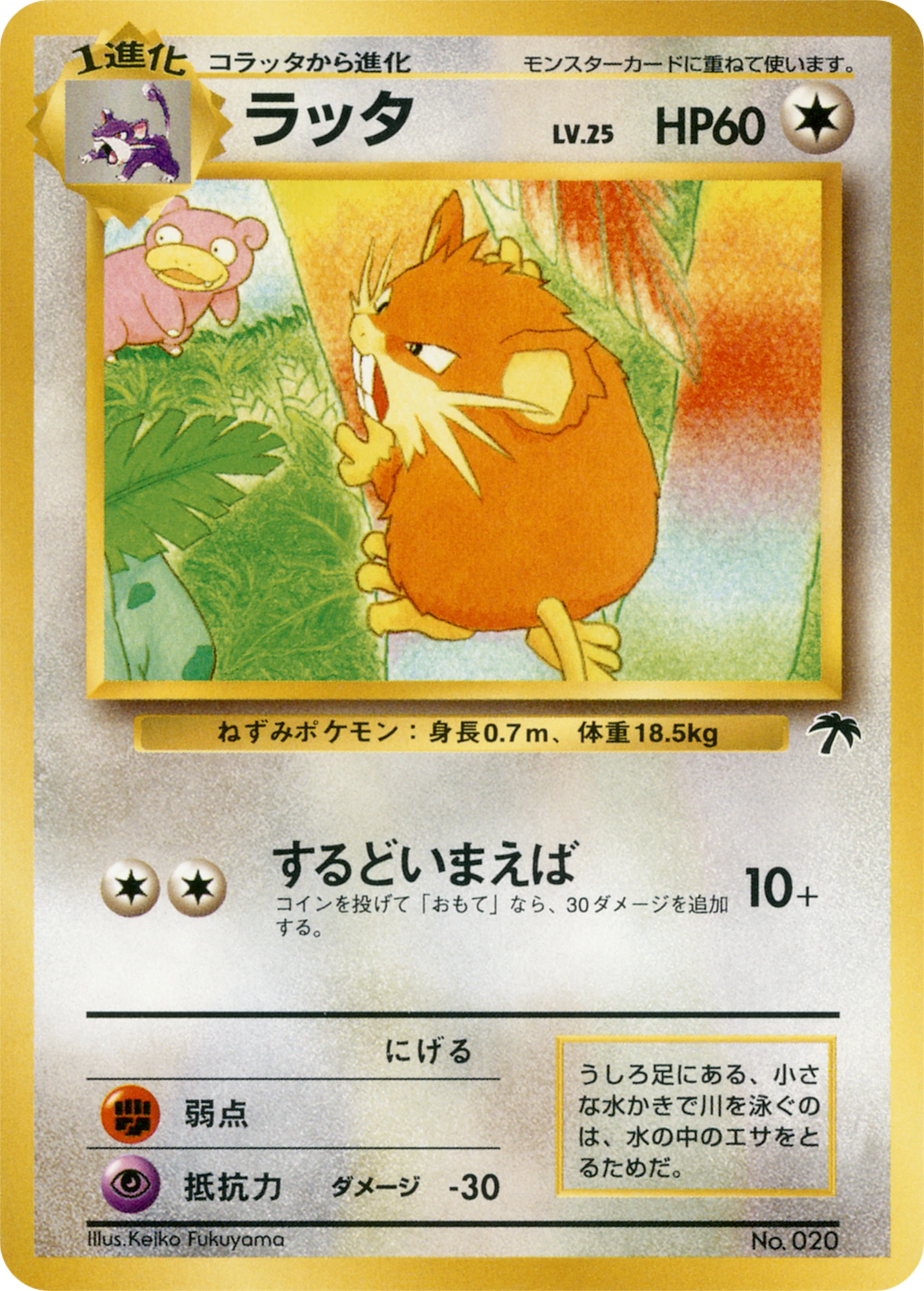 Raticate