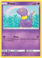 Ekans (HIF 25) Hidden Fates