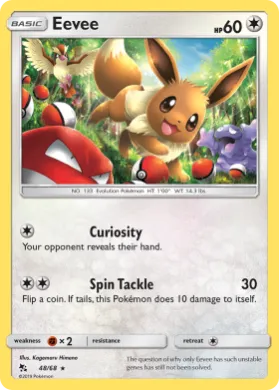 Eevee (HIF 48) Hidden Fates