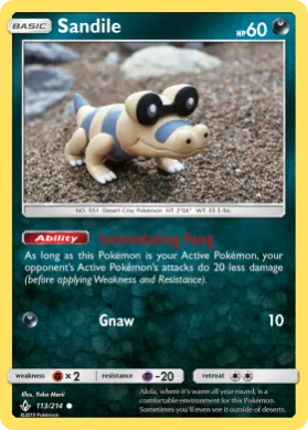 Sandile (UNB 113) Unbroken Bonds