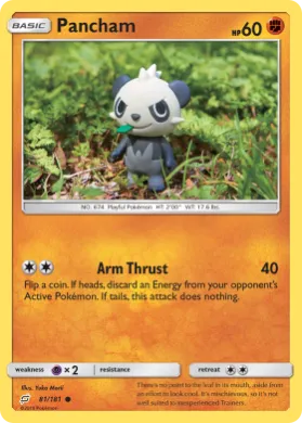 Pancham (TEU 81) Team Up
