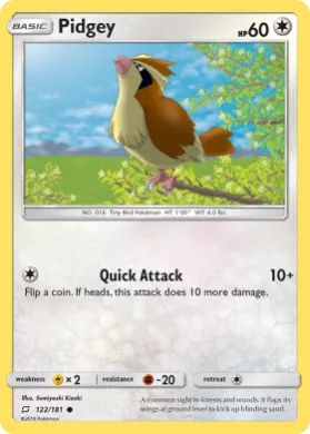 Pidgey (TEU 122) Team Up