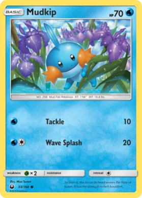 Mudkip (CES 33) Celestial Storm
